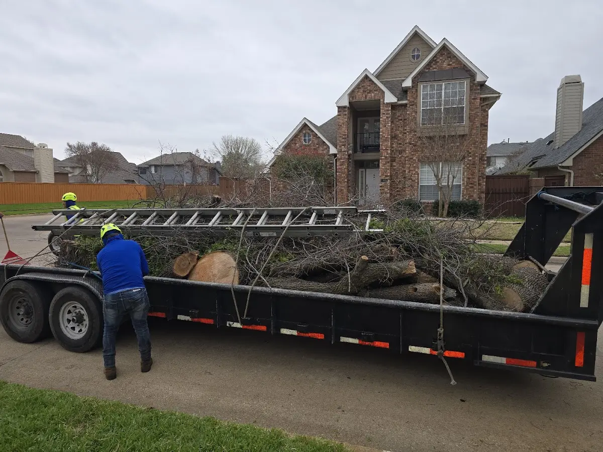 Expert Crown Reduction with proper safety equipment in East Orleans